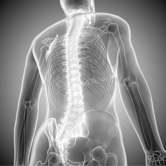 脊柱のS字カーブ