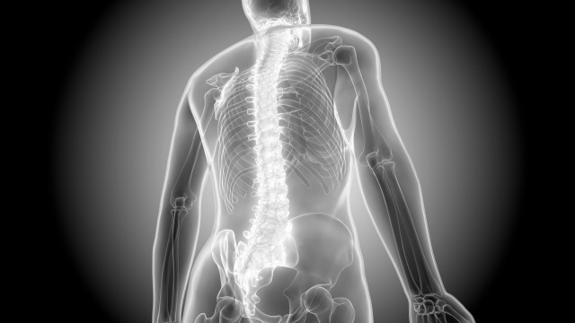 背骨のS字カーブ